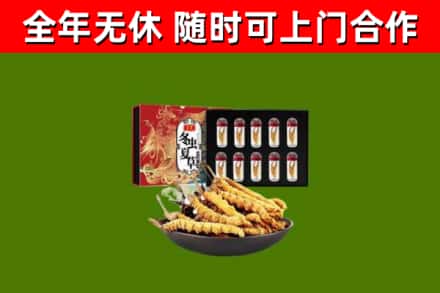 龙川县回收冬虫夏草价格